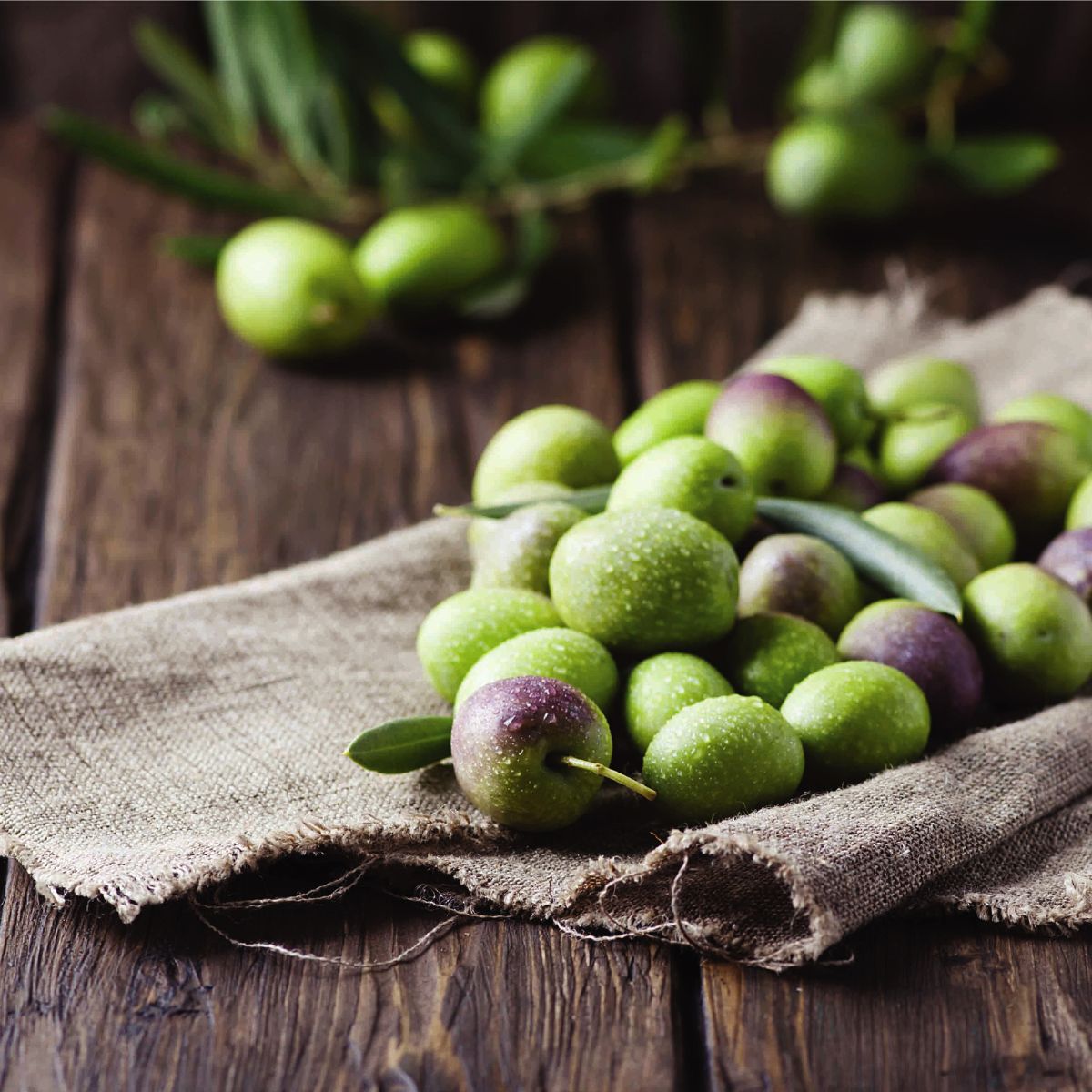 Extra Virgin Olive Oil